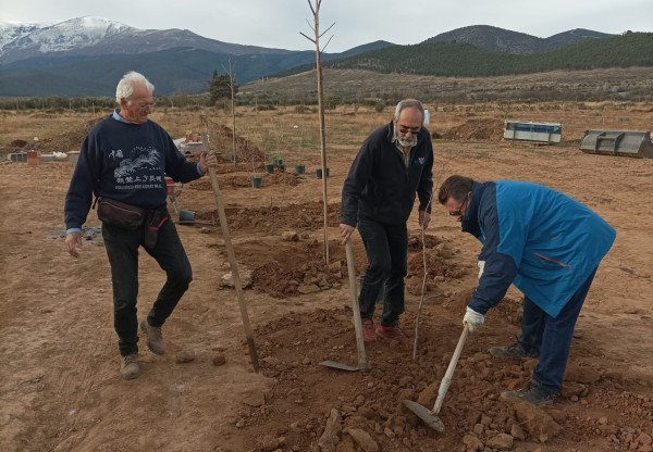 Imagen de cabecera de Sombra para el Ecocamping Las Viñas