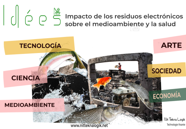 Imagen de cabecera de IDEES