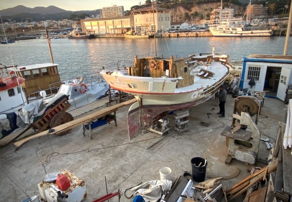 Imagen de cabecera de ODINA, SEMPRE AVANT!