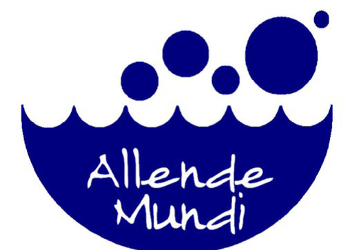 Imagen de cabecera de Proyecto Educativo de Allende Mundi 2024