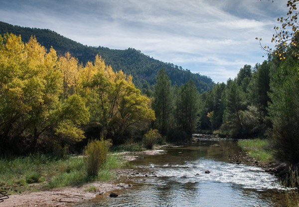 Salvemos la Reserva de la Biosfera del Cabriel (Cuenca) de macrogranjas's header image