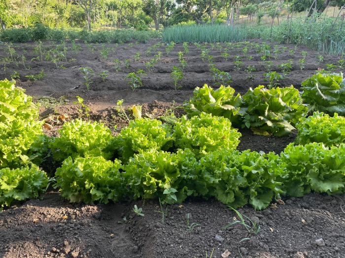 imagen-de-whatsapp-2025-10-16-a-las-14.48.05-fb54f