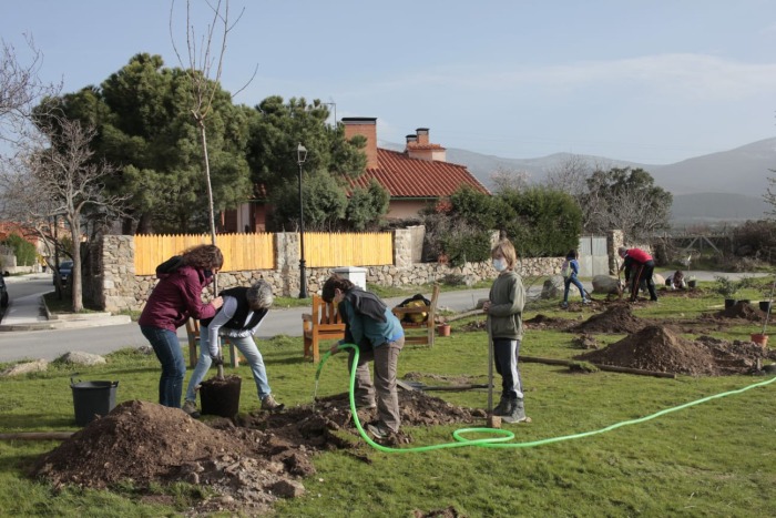 plantacion-5.jpeg