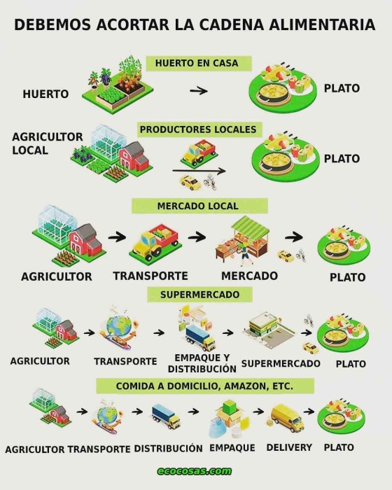 acortar-tu-cadena-alimentaria.jpeg.jpg