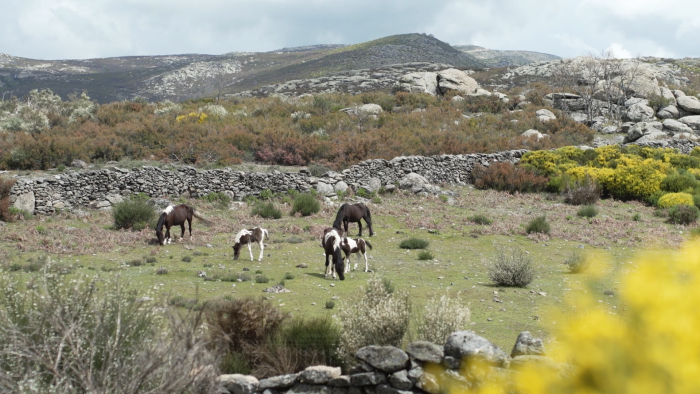 captura-de-pantalla-2021-05-31-a-las-10.08.-9.png