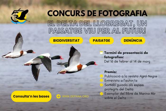Participa en el concurso de fotografía “El delta del Llobregat, un paisaje vivo para el futuro”