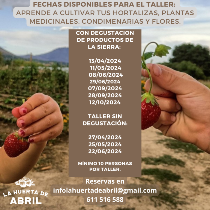 A pocas hora de finalizar