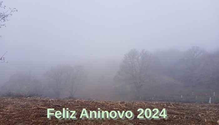 Feliz Aninovo 2024