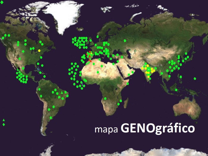 Queda 1 mapa GENOGRÁFICO por 50€!