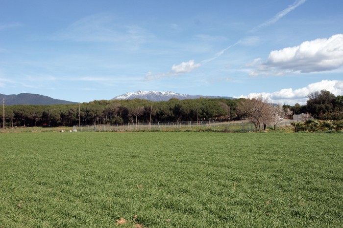 montseny-1r.jpg