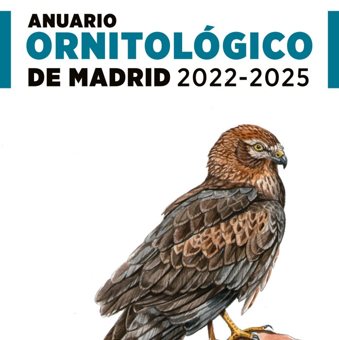 portada-aom-2022-2025b-1-1.jpg