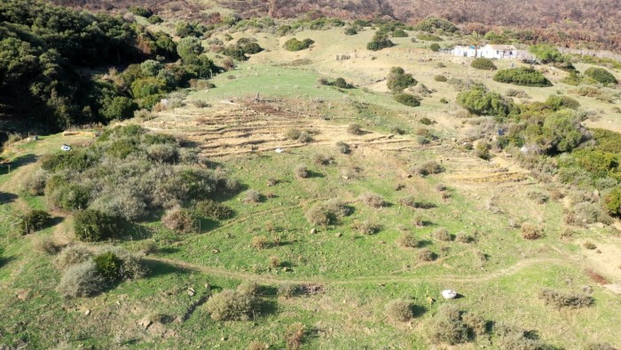 PRIMERA FASE DE PLANTACIÓN FINALIZADA