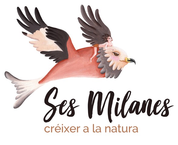 Imagen de cabecera