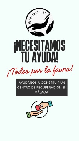 Imagen de cabecera